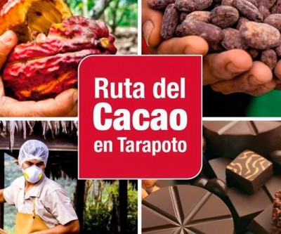 Cacau orgânico de qualidade  mundial