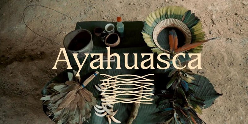 Ayahuasca - Plantas de Poder