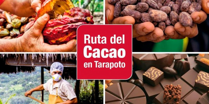 Cacau orgânico de qualidade  mundial