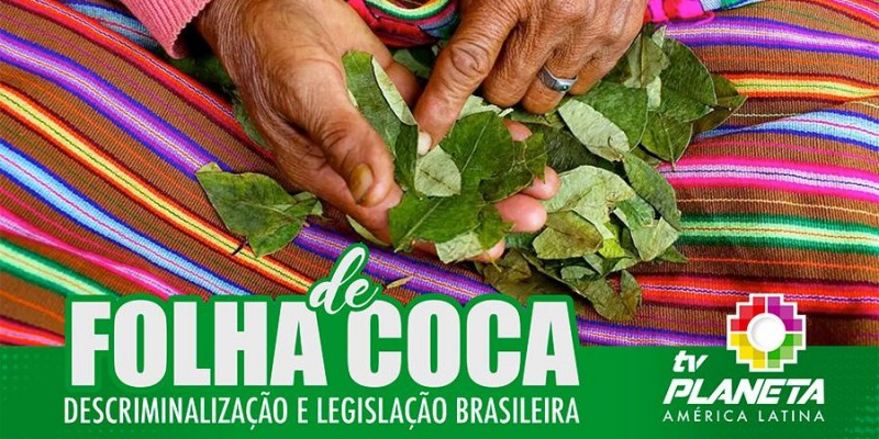 Despenalização da FOLHA DE COCA no Brasil?